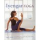 Iyengar Yoga: Classic Yoga Postures for Mind, Body and Spirit (Paperback) by Judy Smith